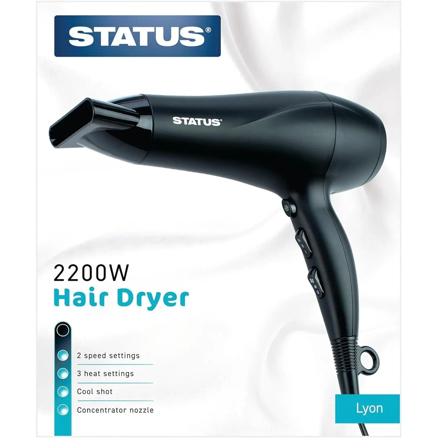 2200W Hair dryer