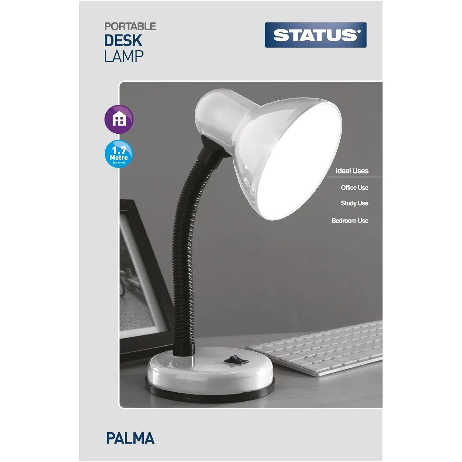 Portable Desk Lamp Siilver